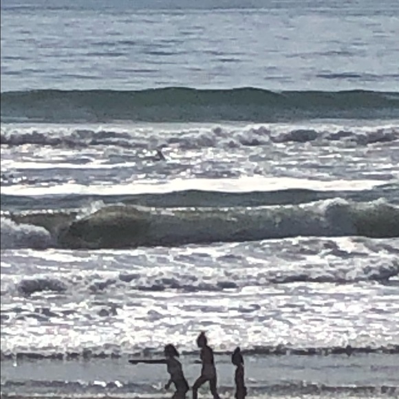 Meet your Posher, Tahli - Picture 1 of 1